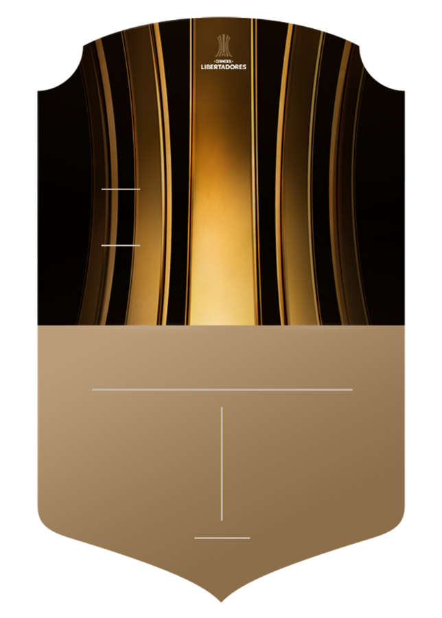LIBERTADORES