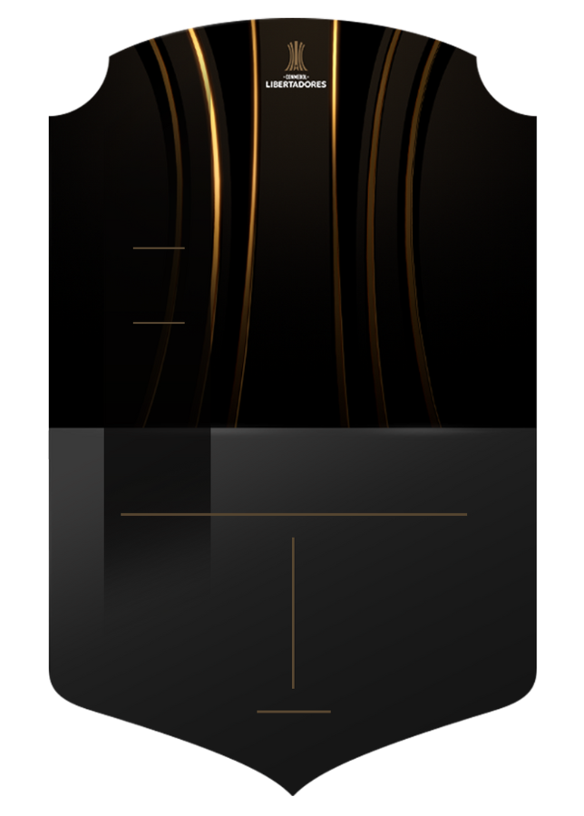 COPA LIBERTADORES
